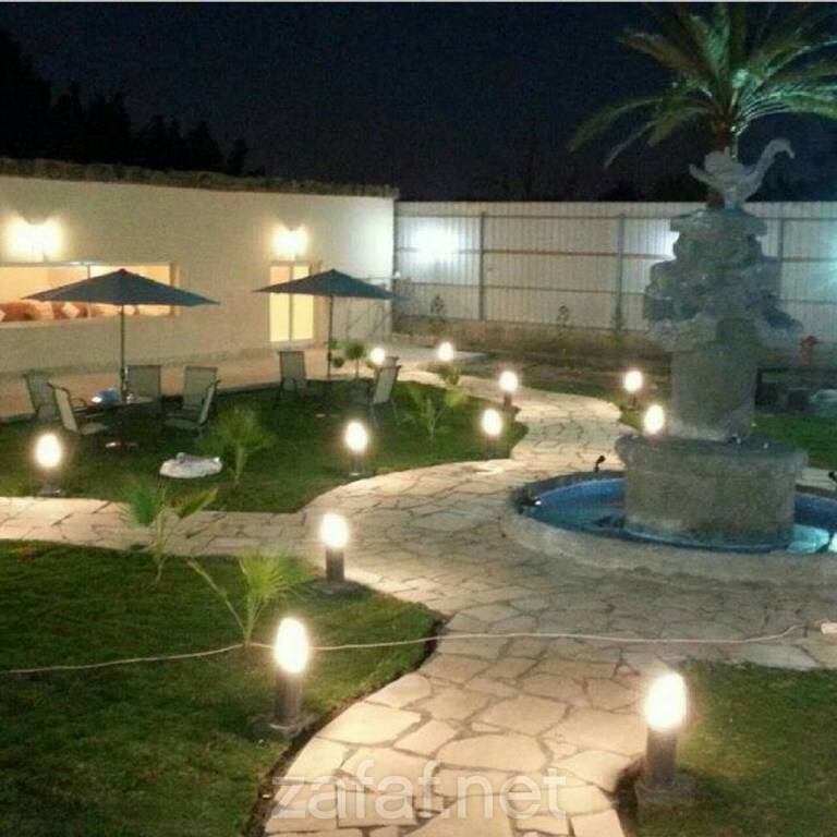 منتجع الدولفين