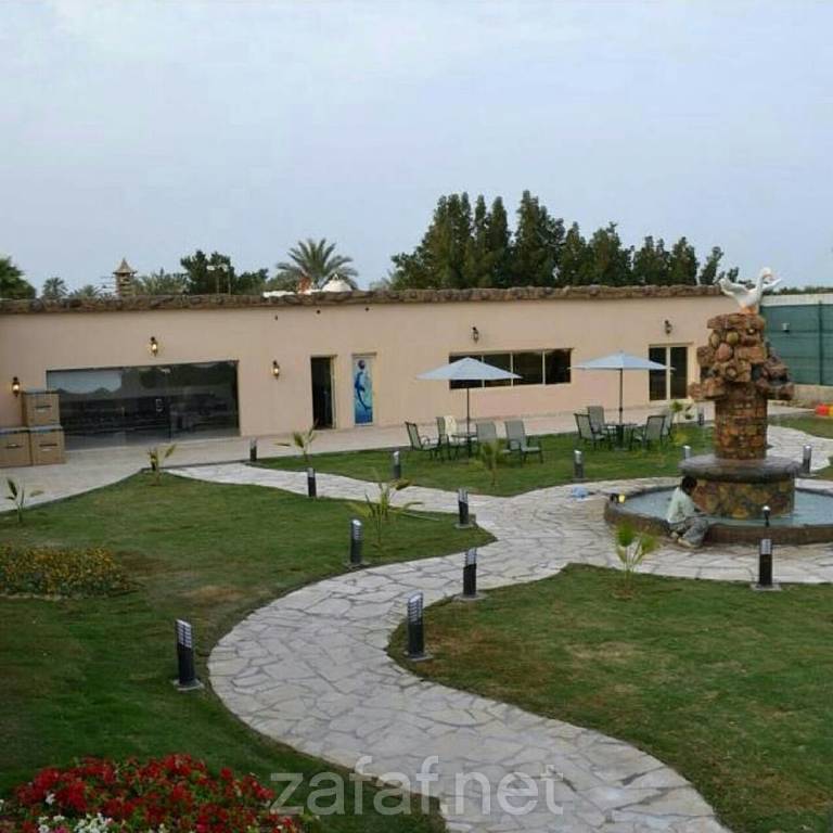 منتجع الدولفين