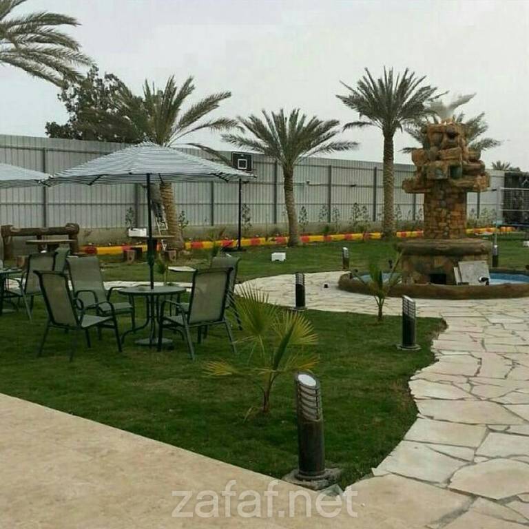 منتجع الدولفين