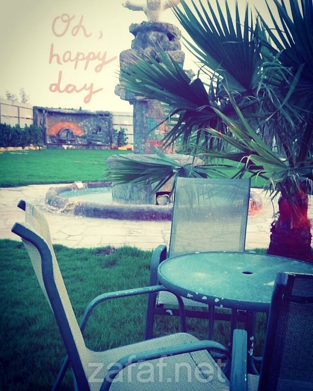 منتجع الدولفين