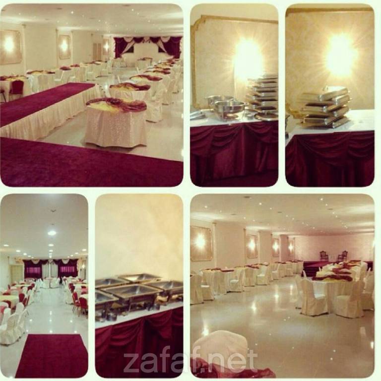 منتجع الدولفين