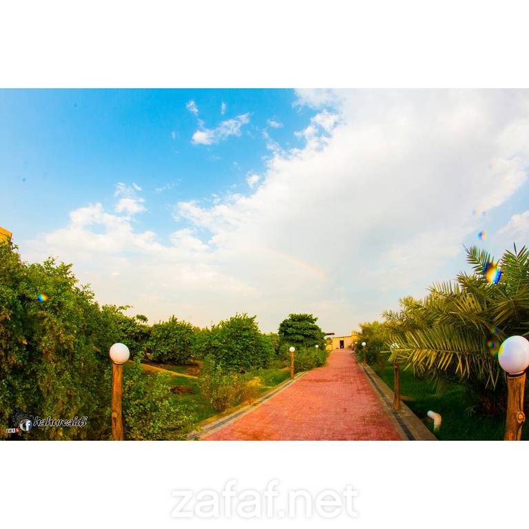 استراحة الاماني