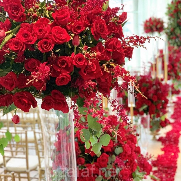 في أي بي للحفلات