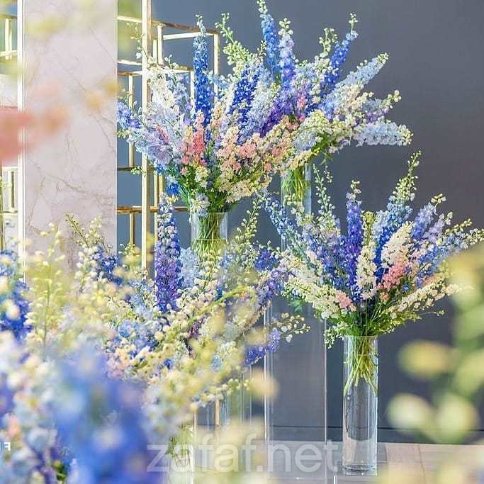 في أي بي للحفلات