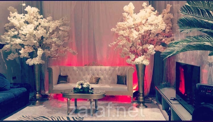 حفلات لتنظيم الحفلات