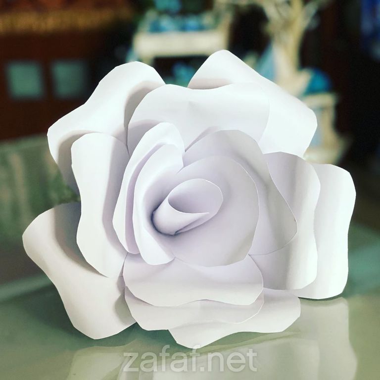 مون لايت لتجهيز الحفلات