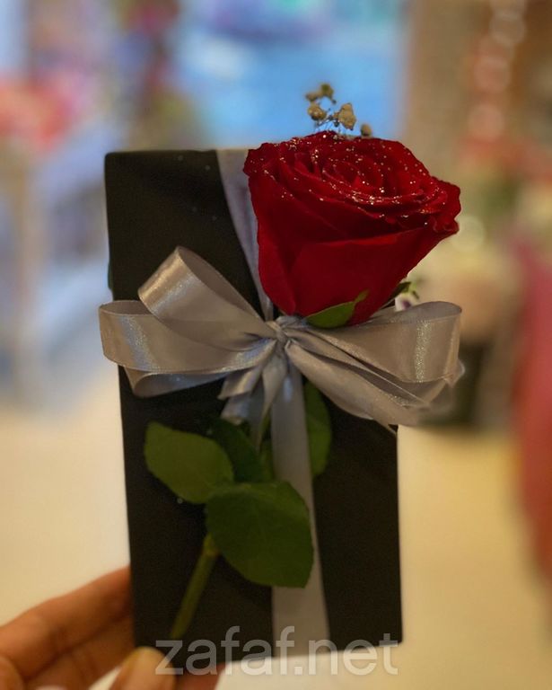 مون لايت لتجهيز الحفلات