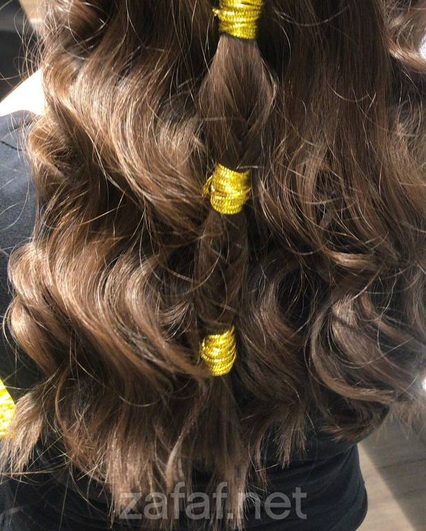 هاوس أوف بيتوتي