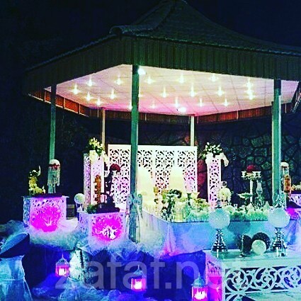 أبو فارس للحفلات