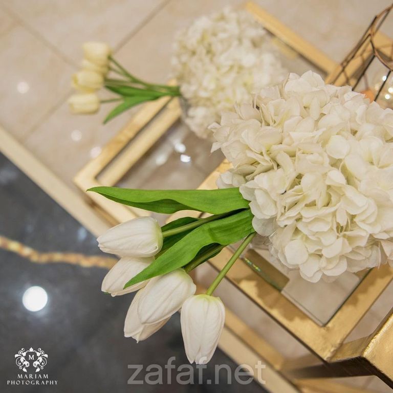 مريم للتصوير الاحساء