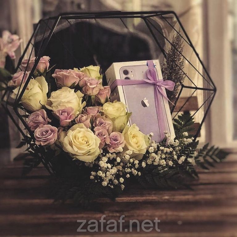 عالم الحفلة في الرياض