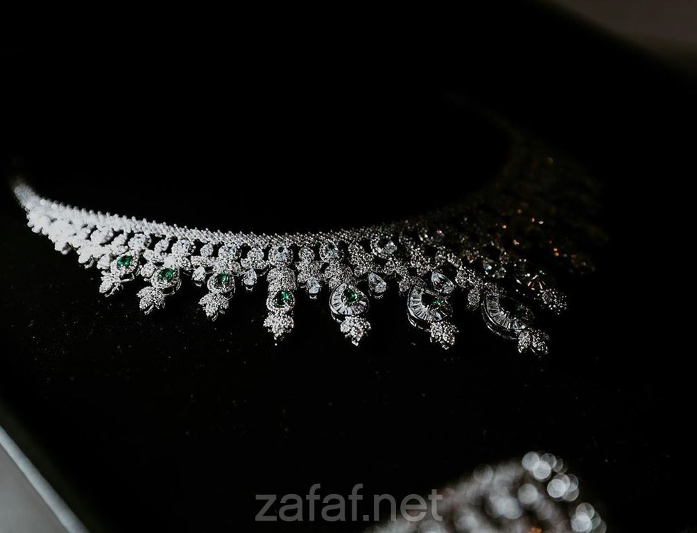 توم عمر للتصوير