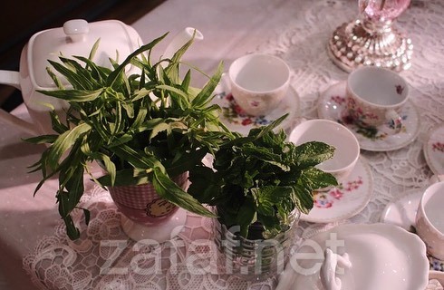 سان للتصوير