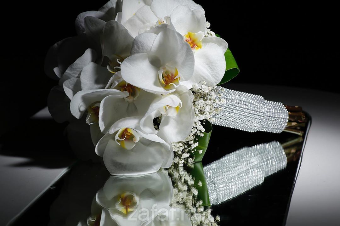 نون للتصوير في الرياض