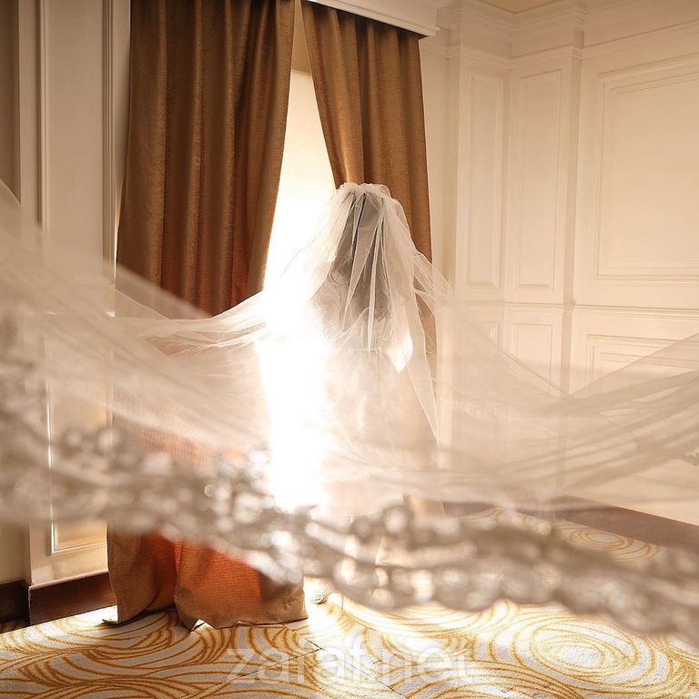 المصورة تهليل النشوان