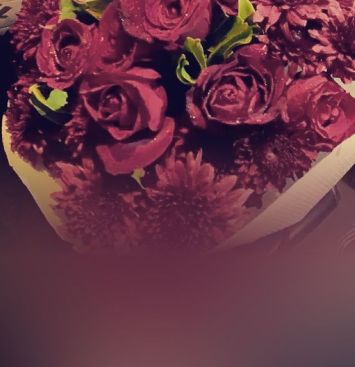 المصور إيهاب