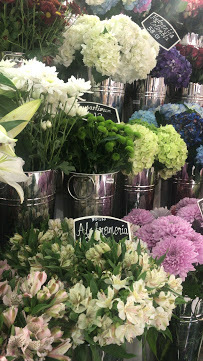 الربيع المحمدية