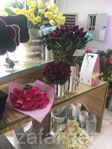 الربيع المحمدية