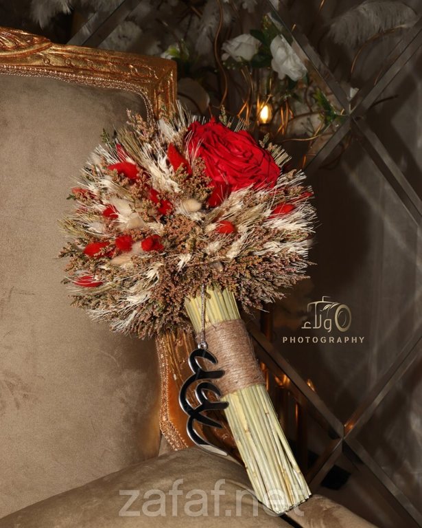 المصورة ولاء