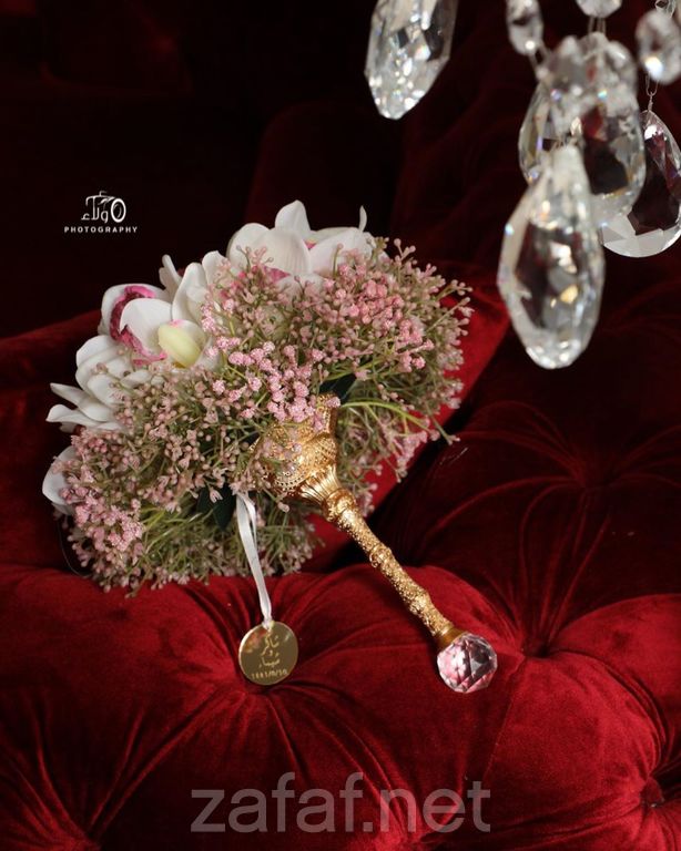 المصورة ولاء