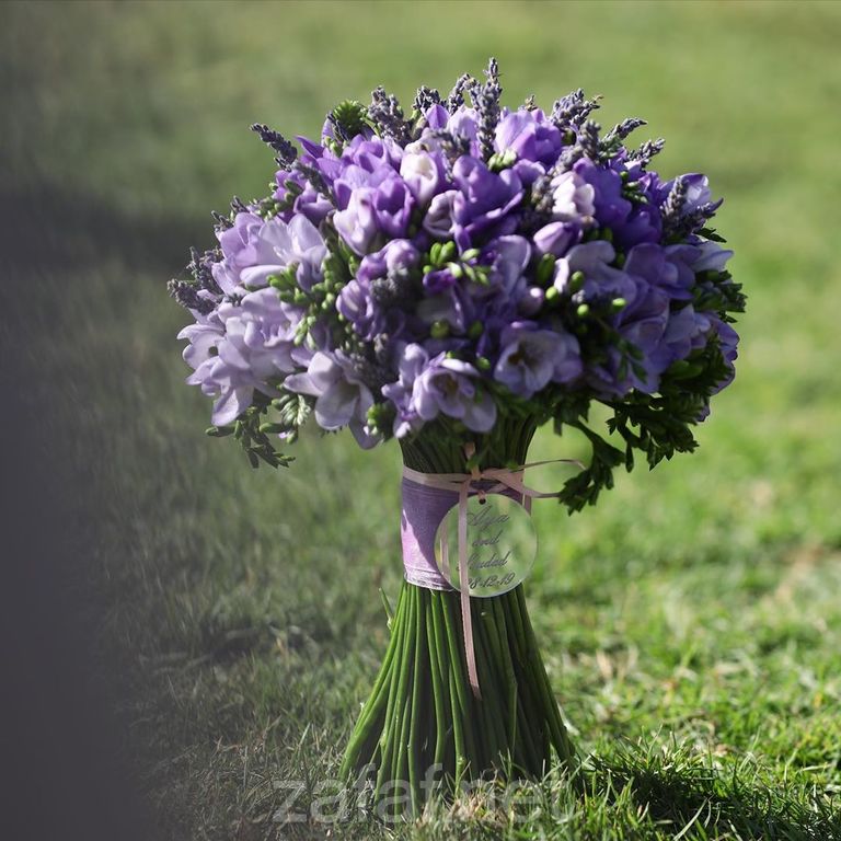 المصورة لجين بوقري