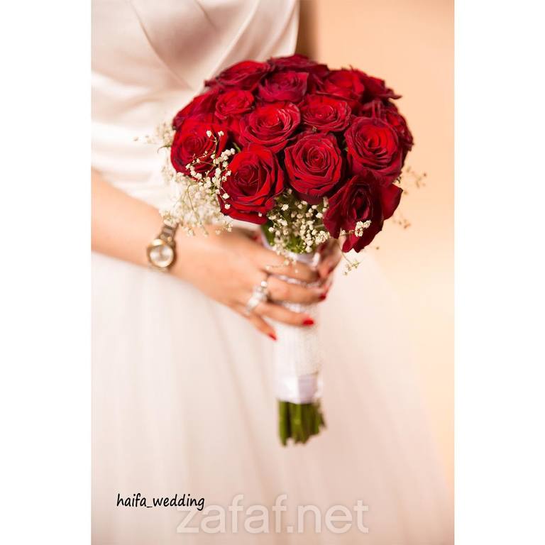 المصورة هيفاء في بريدة