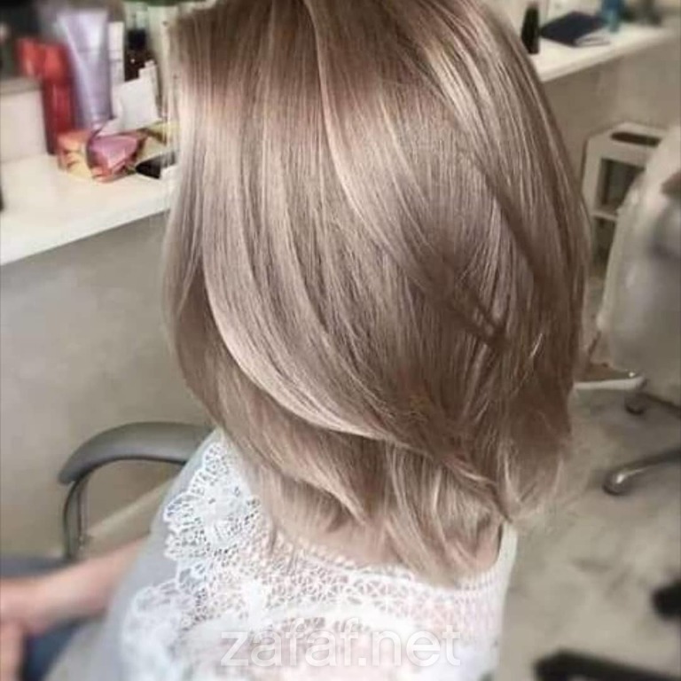 مشغل نجمة الضياء