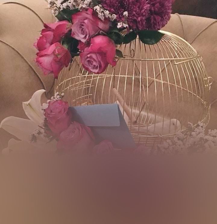 زواجات الرياض