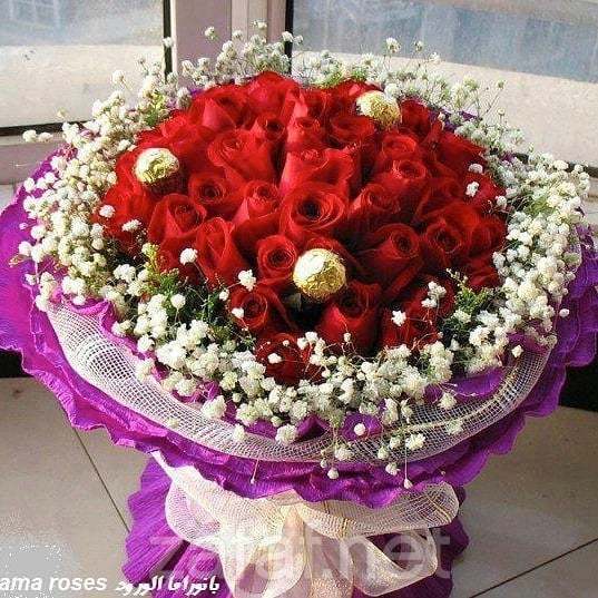 زواجات الرياض