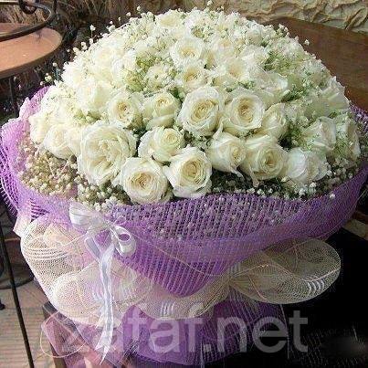 زواجات الرياض