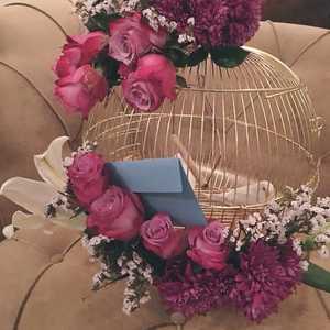 زواجات الرياض