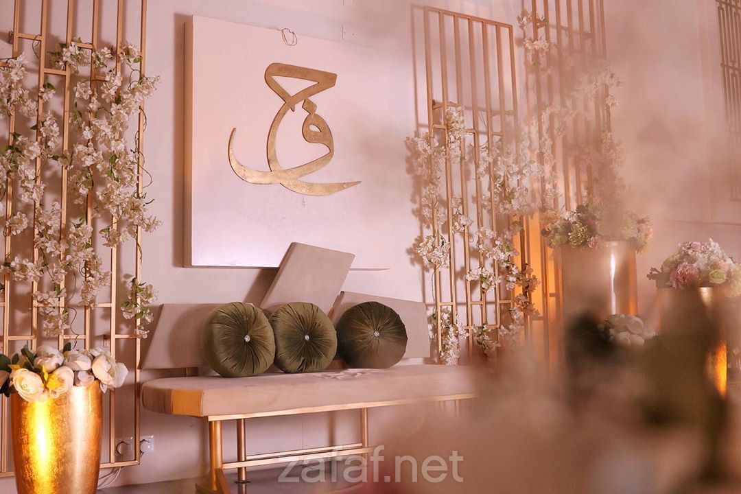 سولا للتصوير