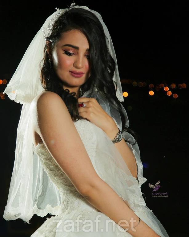 نورس للتصوير