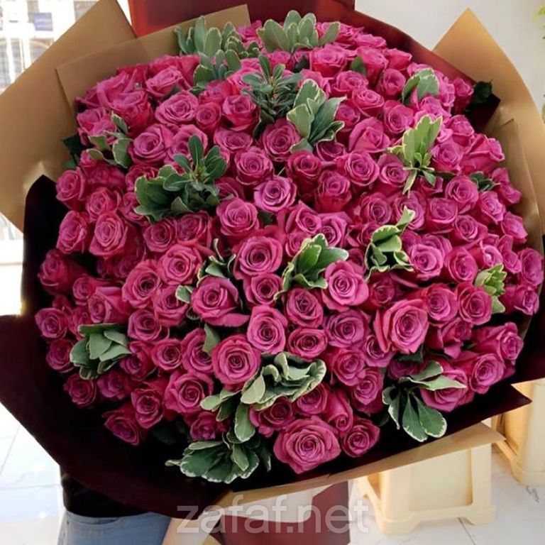 حفلتي للزهور الطبيعية