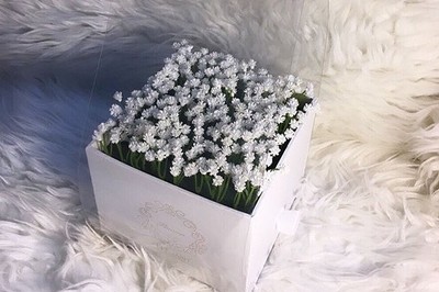 فلير للهدايا