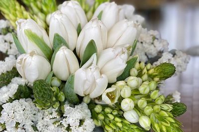 المنطقة المثالية