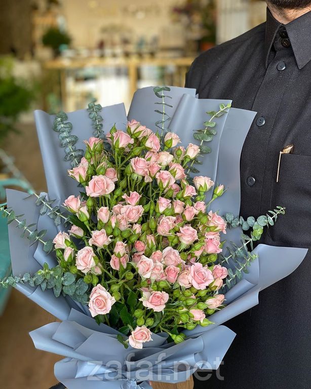 المنطقة المثالية