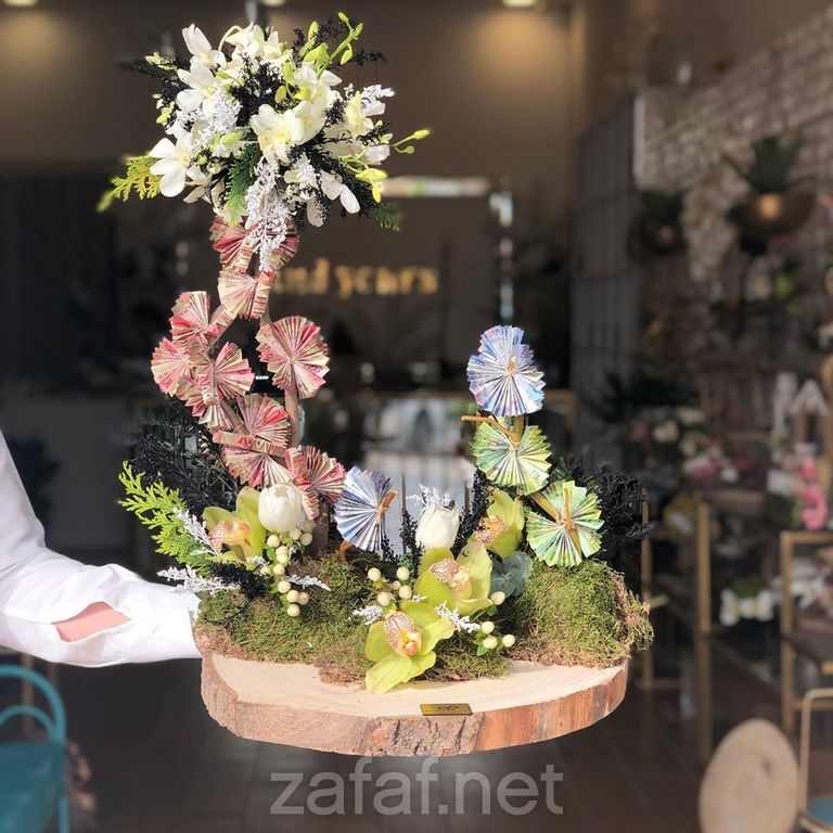 المنطقة المثالية