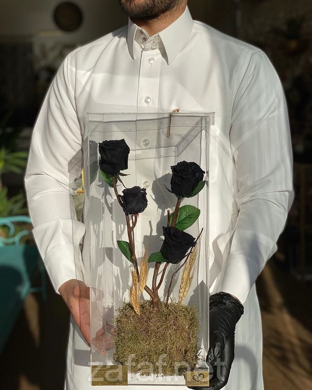 المنطقة المثالية