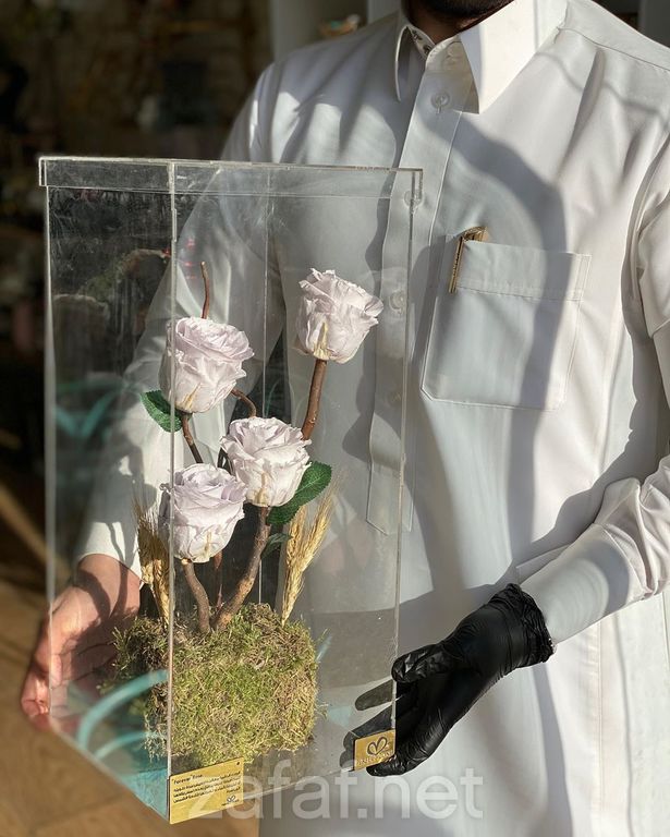 المنطقة المثالية