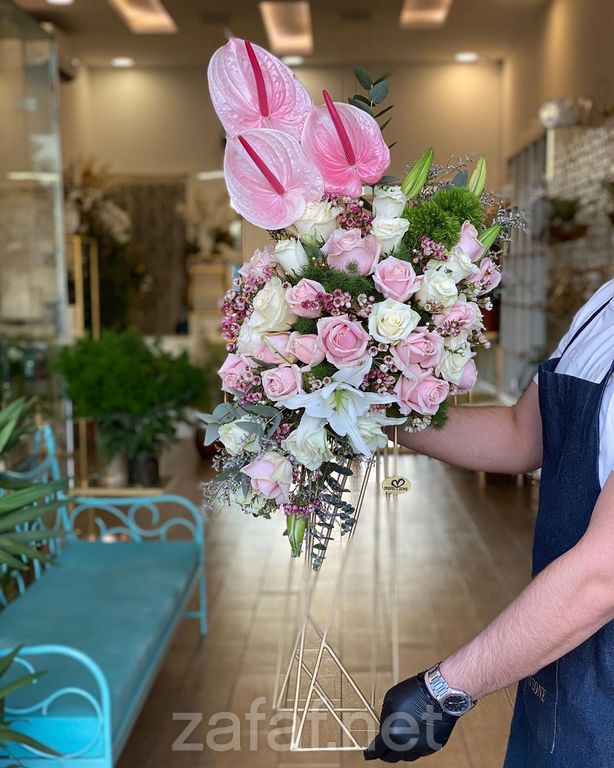 المنطقة المثالية