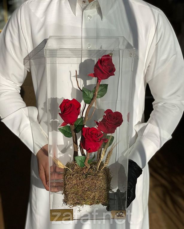 المنطقة المثالية