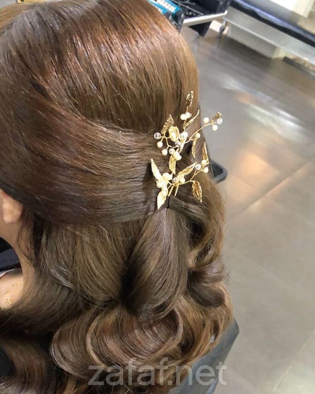 مشغل فربينيا