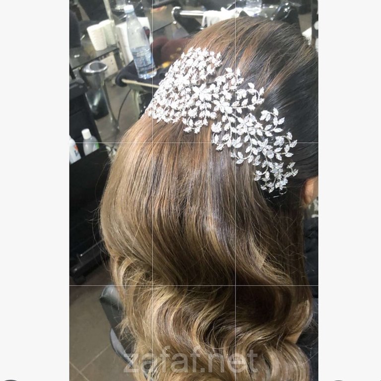 مشغل فربينيا