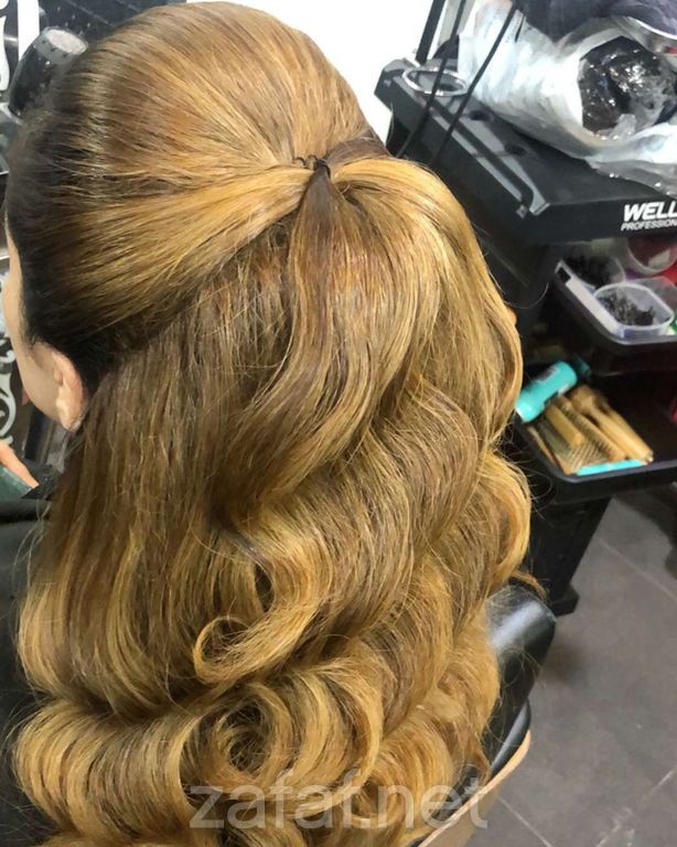 مشغل فربينيا