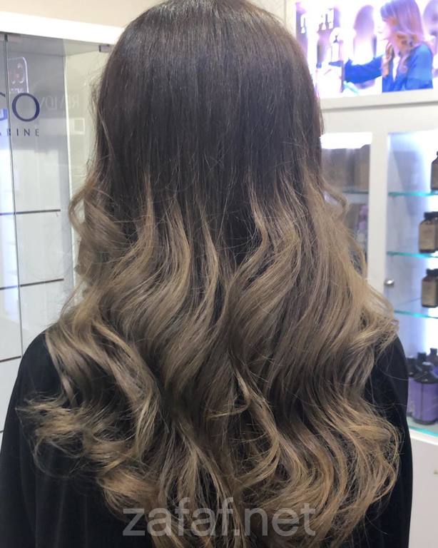 مشغل فربينيا