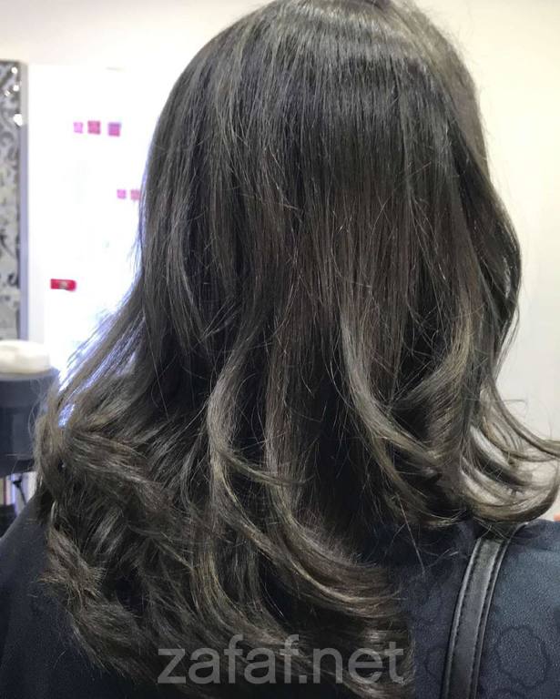 مشغل فربينيا