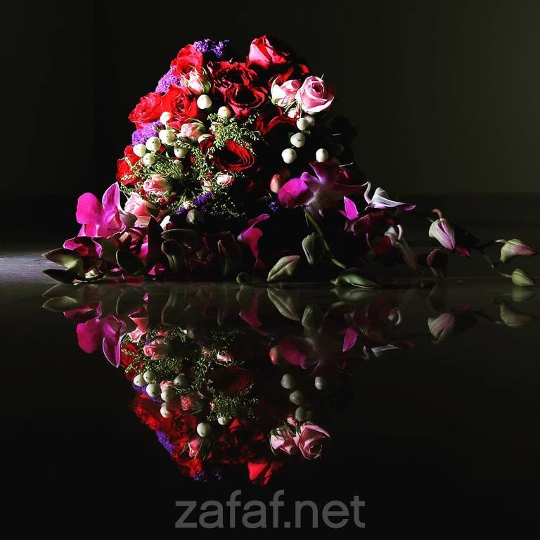 فردوس أستديو