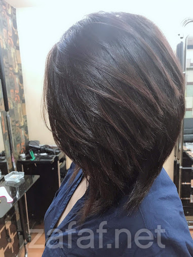 مشغل الطراز الأول