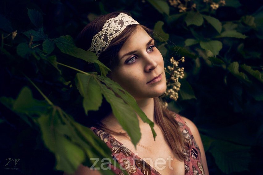 بروبك للتصوير